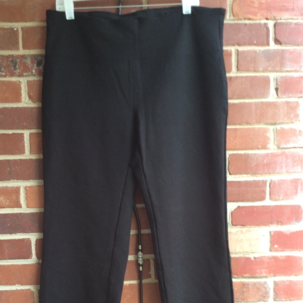 Soft Surroundings Stretch Pants - image 1
